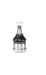 Pivo Inf D10/D20 Menor